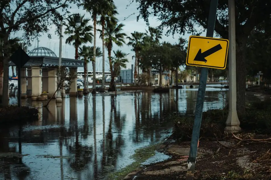 Street view of a flooded road lined with palm trees and a leaning traffic sign, reflecting urban flooding.